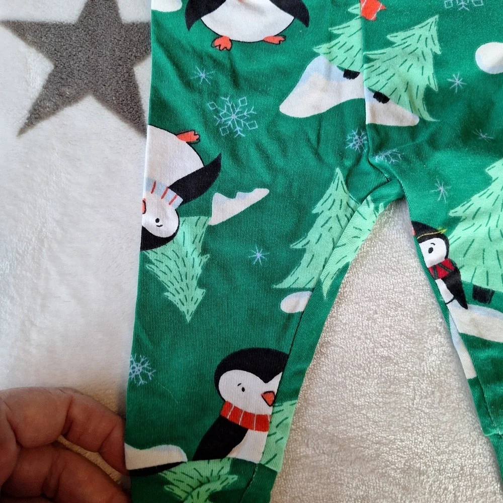 Crown & Ivy Penguin Forest Elm 3M 2 Piece Set Winter‎ Christmas Pictures